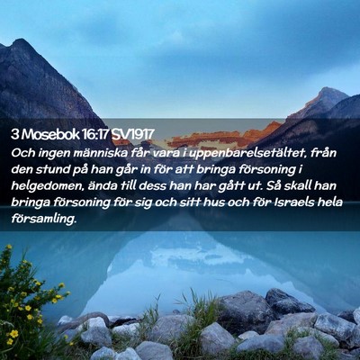 Picture 02 - 3 Mosebok 16:17 SV1917 - Och ingen människa får vara i - Bible Verse Picture