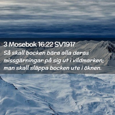 Picture 02 - 3 Mosebok 16:22 SV1917 - Så skall bocken bära alla deras missgärningar - Bible Verse Picture