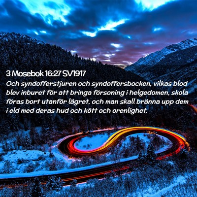 Picture 02 - 3 Mosebok 16:27 SV1917 - Och syndofferstjuren och syndoffersbocken, vilkas - Bible Verse Picture