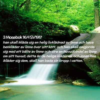 Picture 02 - 3 Mosebok 16:4 SV1917 - han skall ikläda sig en helig livklädnad av - Bible Verse Picture