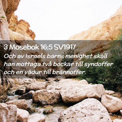 Picture 02 - 3 Mosebok 16:5 SV1917 - Och av Israels barns menighet skall han mottaga - Bible Verse Picture
