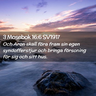 Picture 02 - 3 Mosebok 16:6 SV1917 - Och Aron skall föra fram sin egen syndofferstjur - Bible Verse Picture