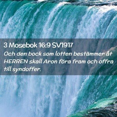 Picture 02 - 3 Mosebok 16:9 SV1917 - Och den bock som lotten bestämmer åt HERREN - Bible Verse Picture