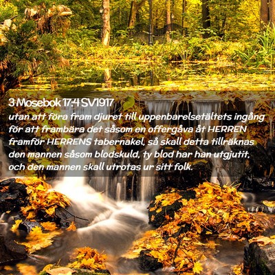 Picture 02 - 3 Mosebok 17:4 SV1917 - utan att föra fram djuret till - Bible Verse Picture