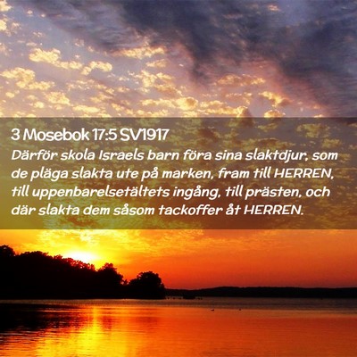 Picture 02 - 3 Mosebok 17:5 SV1917 - Därför skola Israels barn föra sina slaktdjur, - Bible Verse Picture