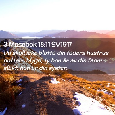 Picture 02 - 3 Mosebok 18:11 SV1917 - Du skall icke blotta din faders hustrus dotters - Bible Verse Picture