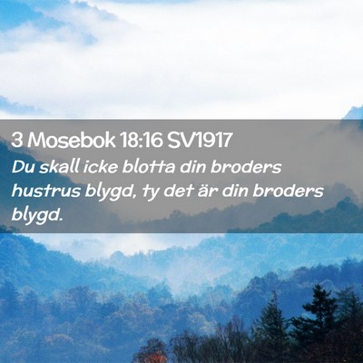Picture 02 - 3 Mosebok 18:16 SV1917 - Du skall icke blotta din broders hustrus blygd, - Bible Verse Picture