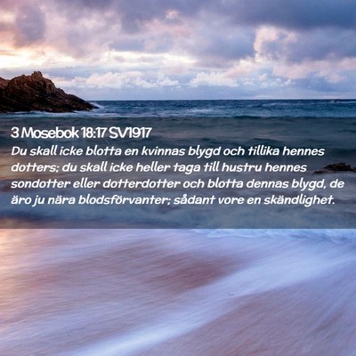 Picture 02 - 3 Mosebok 18:17 SV1917 - Du skall icke blotta en kvinnas blygd och tillika - Bible Verse Picture