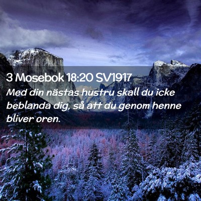 Picture 02 - 3 Mosebok 18:20 SV1917 - Med din nästas hustru skall du icke beblanda - Bible Verse Picture