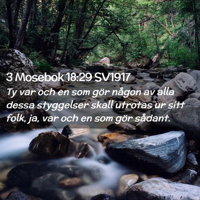 Picture 02 - 3 Mosebok 18:29 SV1917 - Ty var och en som gör någon av alla dessa - Bible Verse Picture