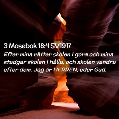 Picture 02 - 3 Mosebok 18:4 SV1917 - Efter mina rätter skolen I göra och mina - Bible Verse Picture