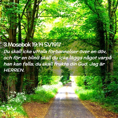 Picture 02 - 3 Mosebok 19:14 SV1917 - Du skall icke uttala förbannelser över en döv, - Bible Verse Picture