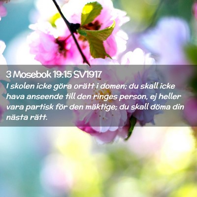Picture 02 - 3 Mosebok 19:15 SV1917 - I skolen icke göra orätt i domen; du skall icke - Bible Verse Picture