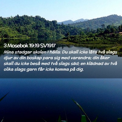 Picture 02 - 3 Mosebok 19:19 SV1917 - Mina stadgar skolen I hålla: Du skall icke låta - Bible Verse Picture