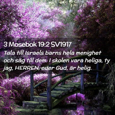 Picture 02 - 3 Mosebok 19:2 SV1917 - Tala till Israels barns hela menighet och säg - Bible Verse Picture