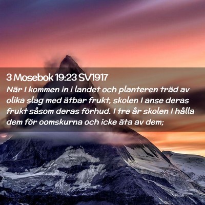 Picture 02 - 3 Mosebok 19:23 SV1917 - När I kommen in i landet och planteren träd av - Bible Verse Picture
