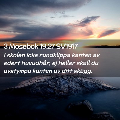 Picture 02 - 3 Mosebok 19:27 SV1917 - I skolen icke rundklippa kanten av edert - Bible Verse Picture