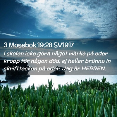 Picture 02 - 3 Mosebok 19:28 SV1917 - I skolen icke göra något märke på eder kropp - Bible Verse Picture