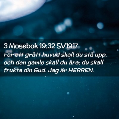 Picture 02 - 3 Mosebok 19:32 SV1917 - För ett grått huvud skall du stå upp, och den - Bible Verse Picture