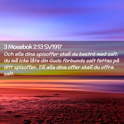 Picture 02 - 3 Mosebok 2:13 SV1917 - Och alla dina spisoffer skall du beströ med - Bible Verse Picture