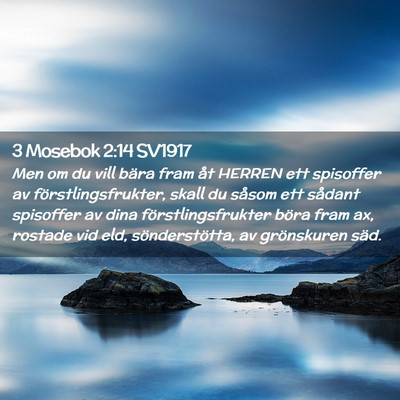 Picture 02 - 3 Mosebok 2:14 SV1917 - Men om du vill bära fram åt HERREN ett - Bible Verse Picture