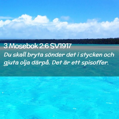 Picture 02 - 3 Mosebok 2:6 SV1917 - Du skall bryta sönder det i stycken och gjuta - Bible Verse Picture