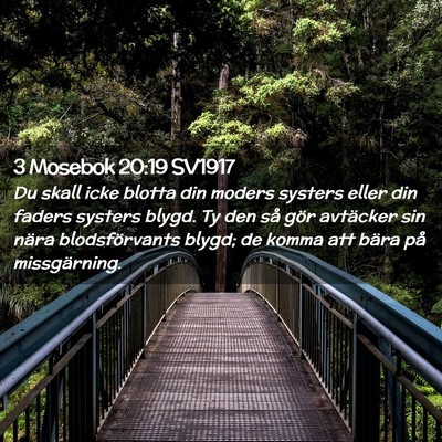 Picture 02 - 3 Mosebok 20:19 SV1917 - Du skall icke blotta din moders systers eller din - Bible Verse Picture