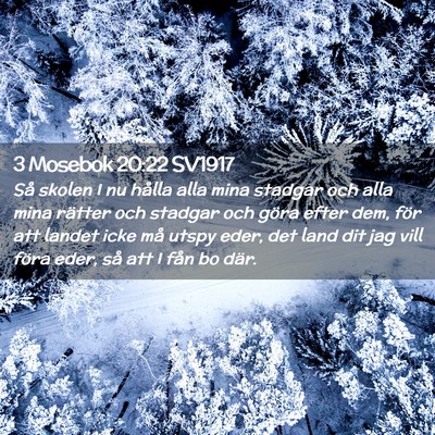 Picture 02 - 3 Mosebok 20:22 SV1917 - Så skolen I nu hålla alla mina stadgar och alla - Bible Verse Picture