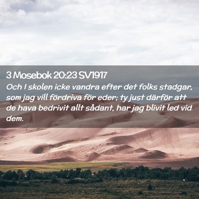 Picture 02 - 3 Mosebok 20:23 SV1917 - Och I skolen icke vandra efter det folks stadgar, - Bible Verse Picture
