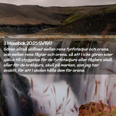 Picture 02 - 3 Mosebok 20:25 SV1917 - Gören alltså skillnad mellan rena fyrfotadjur - Bible Verse Picture