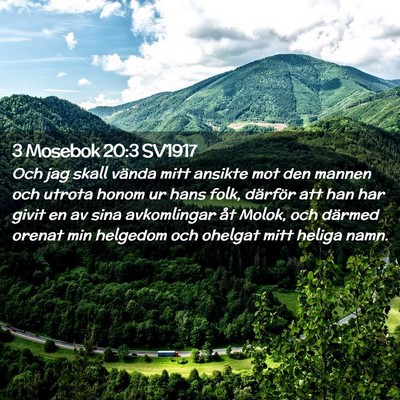 Picture 02 - 3 Mosebok 20:3 SV1917 - Och jag skall vända mitt ansikte mot den mannen - Bible Verse Picture