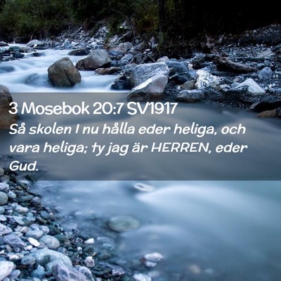 Picture 02 - 3 Mosebok 20:7 SV1917 - Så skolen I nu hålla eder heliga, och vara - Bible Verse Picture