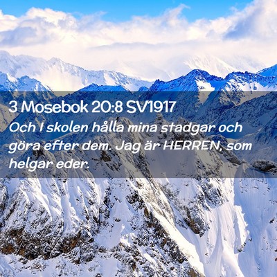 Picture 02 - 3 Mosebok 20:8 SV1917 - Och I skolen hålla mina stadgar och göra efter - Bible Verse Picture