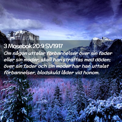 Picture 02 - 3 Mosebok 20:9 SV1917 - Om någon uttalar förbannelser över sin fader - Bible Verse Picture