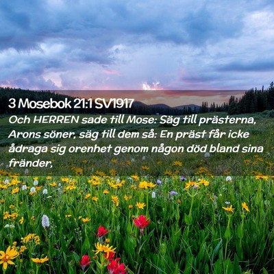 Picture 02 - 3 Mosebok 21:1 SV1917 - Och HERREN sade till Mose: Säg till prästerna, - Bible Verse Picture