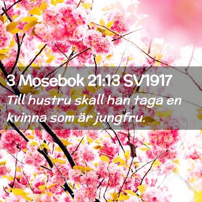 Picture 02 - 3 Mosebok 21:13 SV1917 - Till hustru skall han taga en kvinna som är - Bible Verse Picture