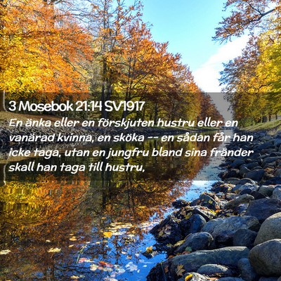 Picture 02 - 3 Mosebok 21:14 SV1917 - En änka eller en förskjuten hustru eller en - Bible Verse Picture