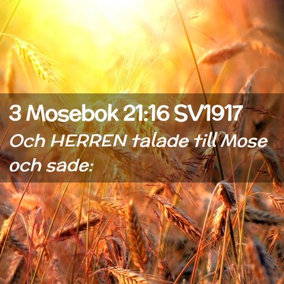 Picture 02 - 3 Mosebok 21:16 SV1917 - Och HERREN talade till Mose och - Bible Verse Picture