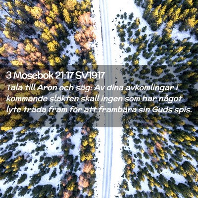 Picture 02 - 3 Mosebok 21:17 SV1917 - Tala till Aron och säg: Av dina avkomlingar i - Bible Verse Picture