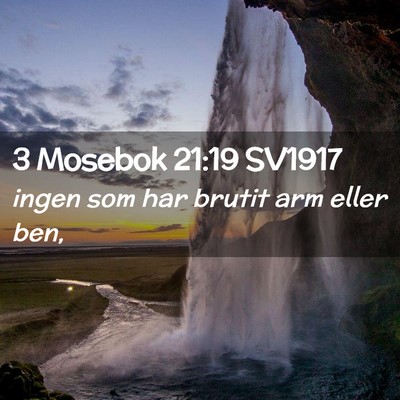 Picture 02 - 3 Mosebok 21:19 SV1917 - ingen som har brutit arm eller - Bible Verse Picture