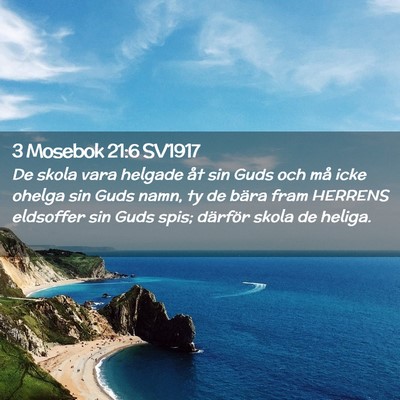 Picture 02 - 3 Mosebok 21:6 SV1917 - De skola vara helgade åt sin Guds och må icke - Bible Verse Picture