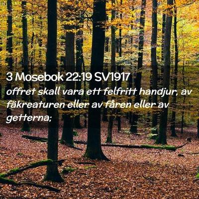 Picture 02 - 3 Mosebok 22:19 SV1917 - offret skall vara ett felfritt handjur, av - Bible Verse Picture