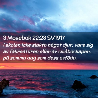 Picture 02 - 3 Mosebok 22:28 SV1917 - I skolen icke slakta något djur, vare sig av - Bible Verse Picture