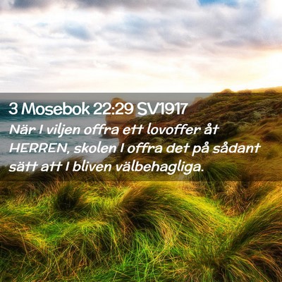 Picture 02 - 3 Mosebok 22:29 SV1917 - När I viljen offra ett lovoffer åt HERREN, - Bible Verse Picture