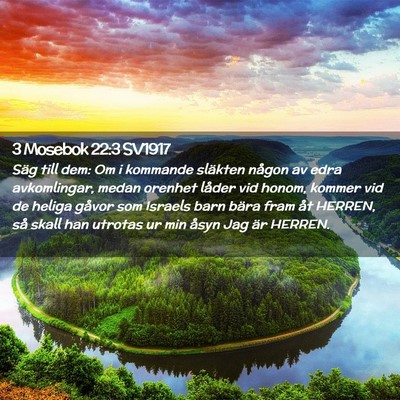 Picture 02 - 3 Mosebok 22:3 SV1917 - Säg till dem: Om i kommande släkten någon av - Bible Verse Picture