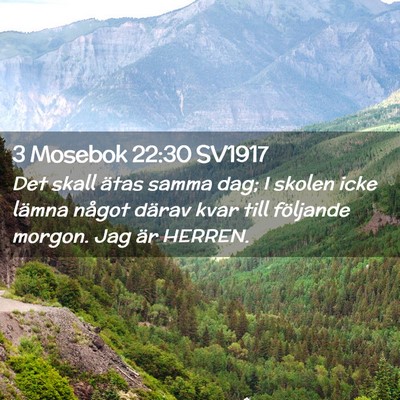 Picture 02 - 3 Mosebok 22:30 SV1917 - Det skall ätas samma dag; I skolen icke lämna - Bible Verse Picture