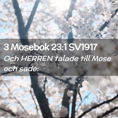 Picture 02 - 3 Mosebok 23:1 SV1917 - Och HERREN talade till Mose och - Bible Verse Picture