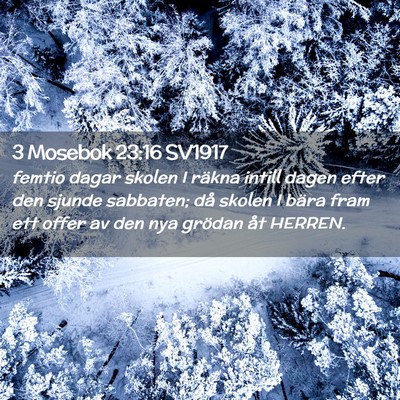 Picture 02 - 3 Mosebok 23:16 SV1917 - femtio dagar skolen I räkna intill dagen efter - Bible Verse Picture
