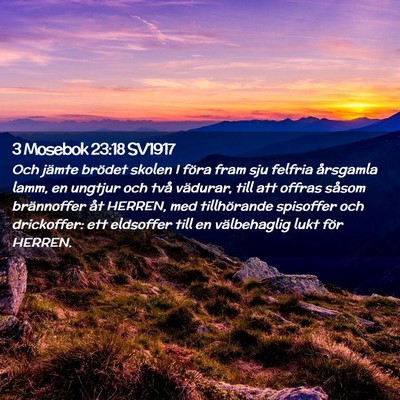Picture 02 - 3 Mosebok 23:18 SV1917 - Och jämte brödet skolen I föra fram sju - Bible Verse Picture
