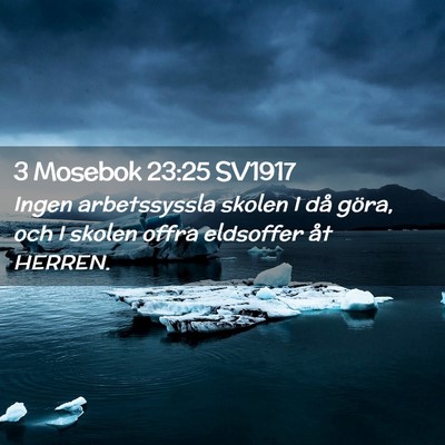 Picture 02 - 3 Mosebok 23:25 SV1917 - Ingen arbetssyssla skolen I då göra, och I - Bible Verse Picture